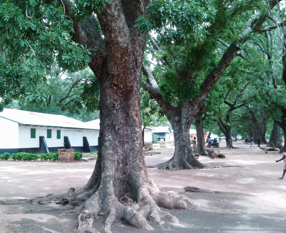 Article : Ce Tchad émergent à l’horizon 2030